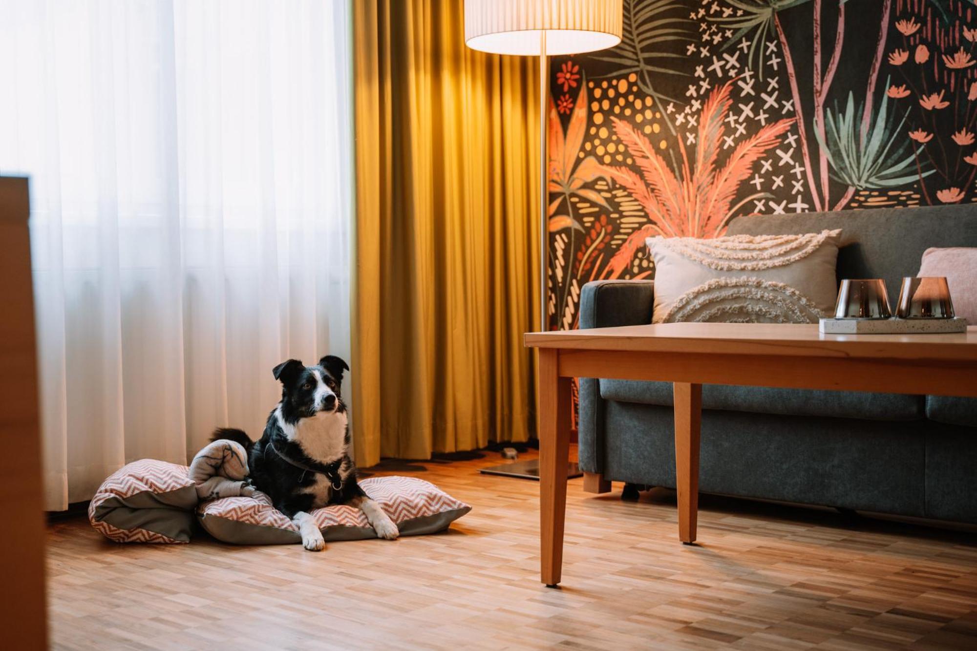 Hotel Auszeit St Lambrecht ザンクト・ランブレヒット エクステリア 写真